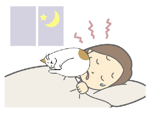 猫と寝る